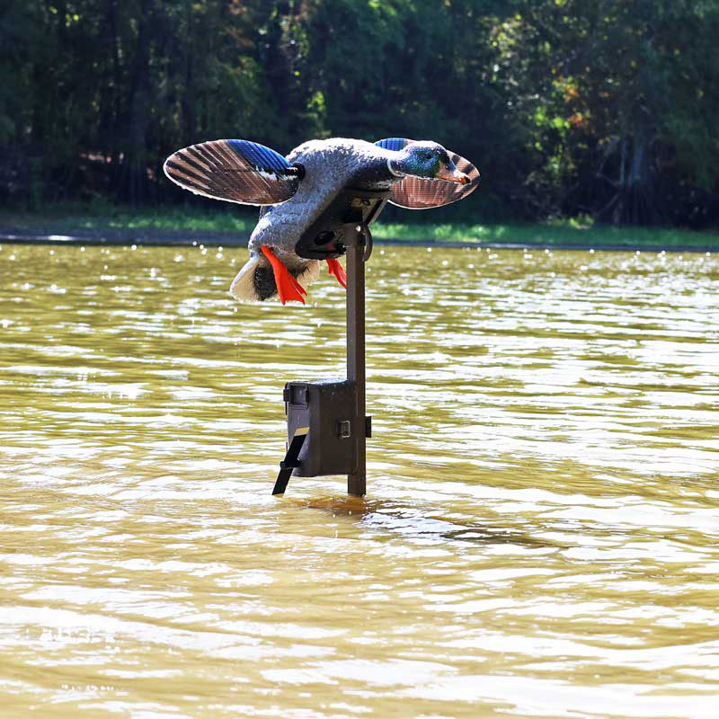 3_tripplewhammy_field4