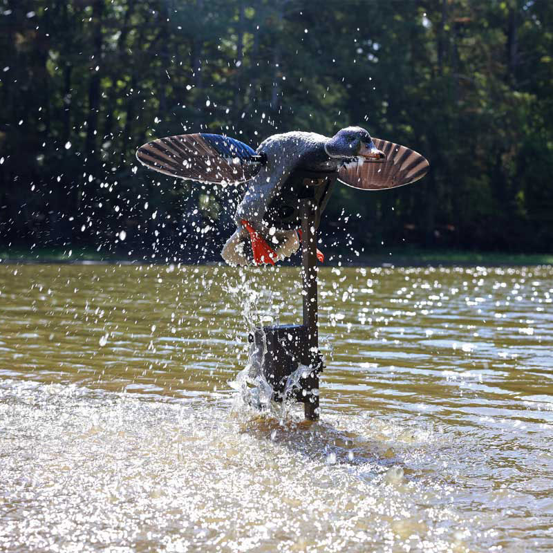 2_tripplewhammy_field