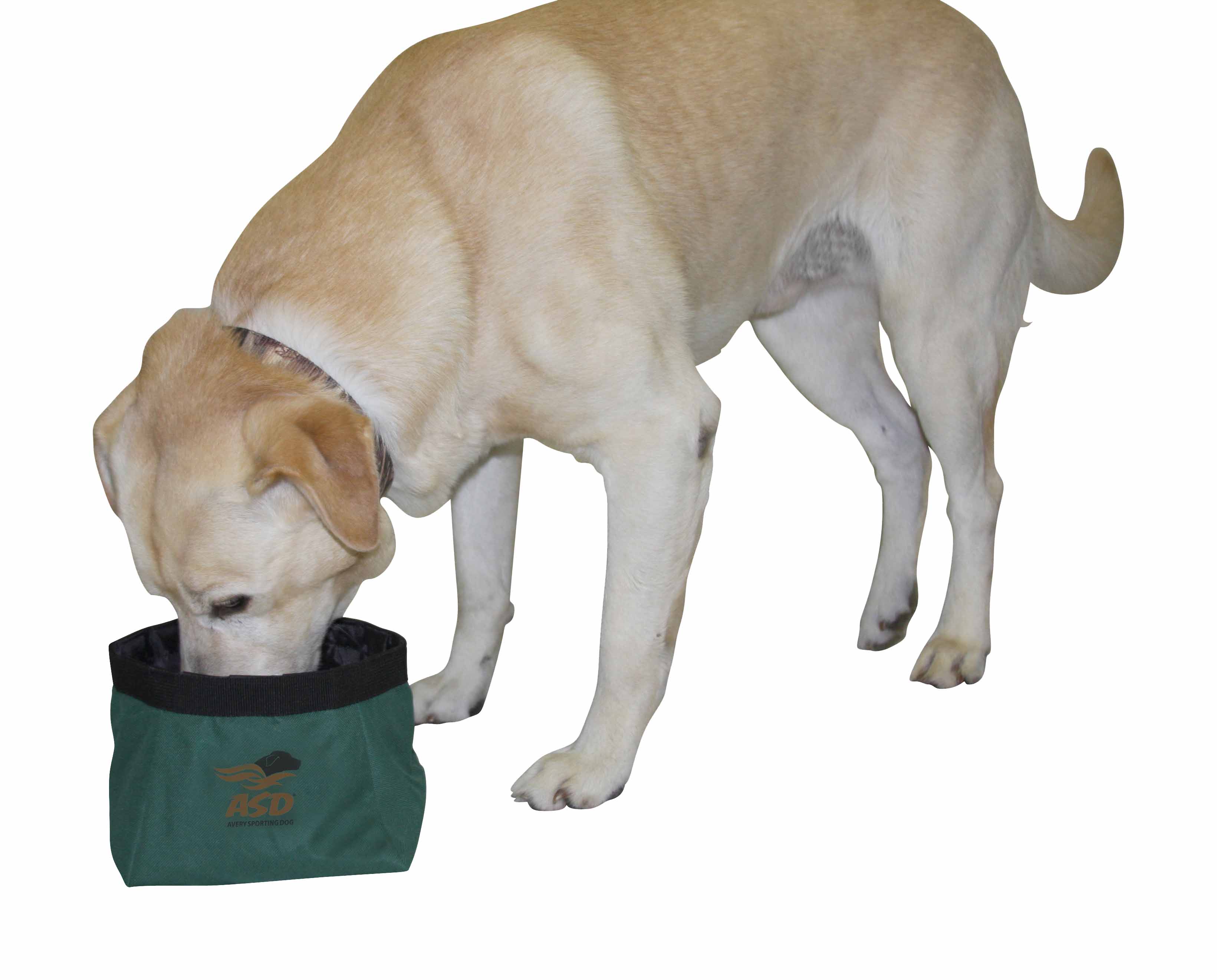 ASD EZ-Stor Collapsible Dog Bowl