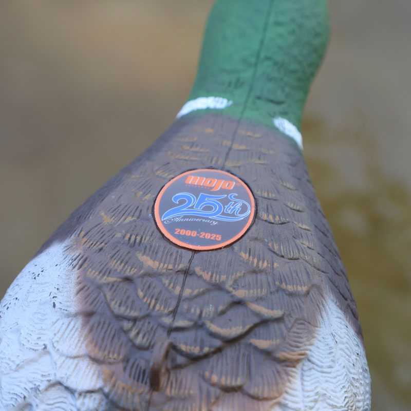 2_silver_mallard_25th_anniversary_closeup